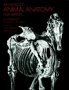 An Atlas of Animal Anatomy For Artists